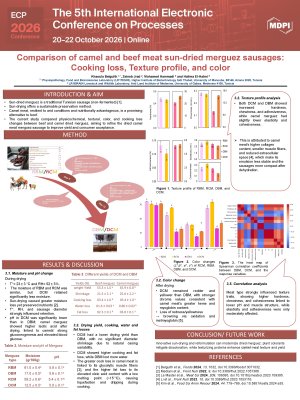 ECP 2026 Kbelguith et al.pdf
